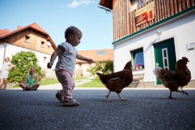 VHV Bio Bauernhof radionews