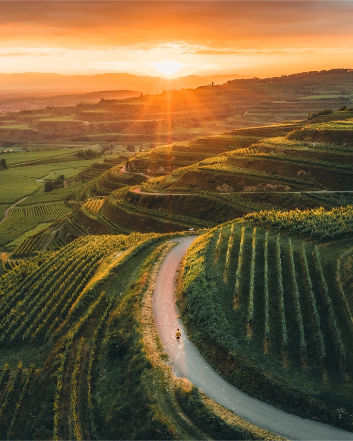 © Giulio Gröbert Naturgarten Kaiserstuhl